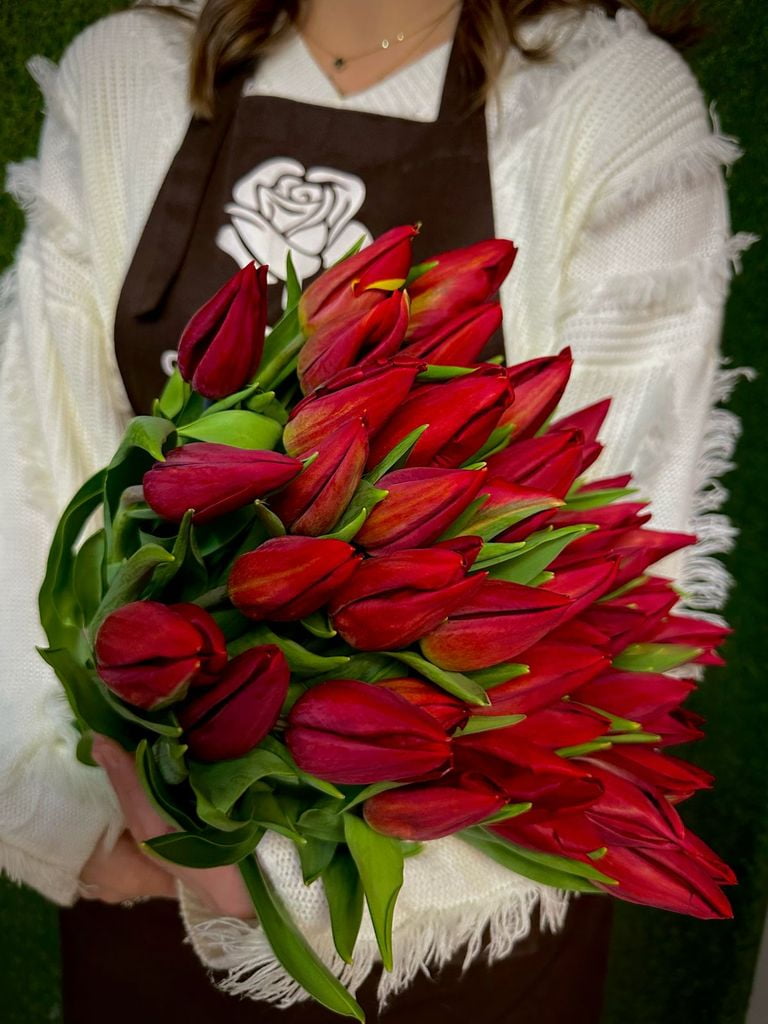 Предзаказ на тюльпаны Premium (бутон 6-9 см) к 8 марта