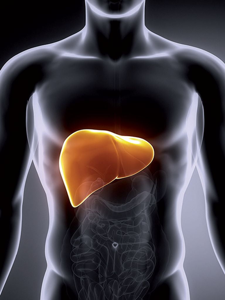 Обследование печени