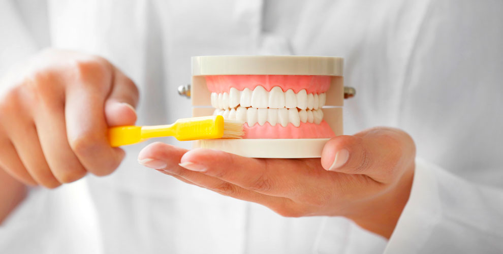 на консультацию ортопеда по винирам