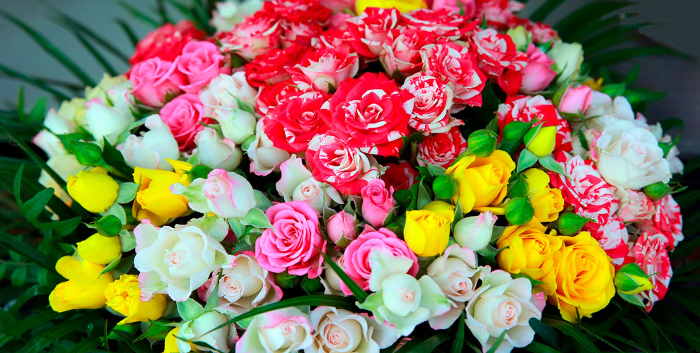 на цветы поштучно