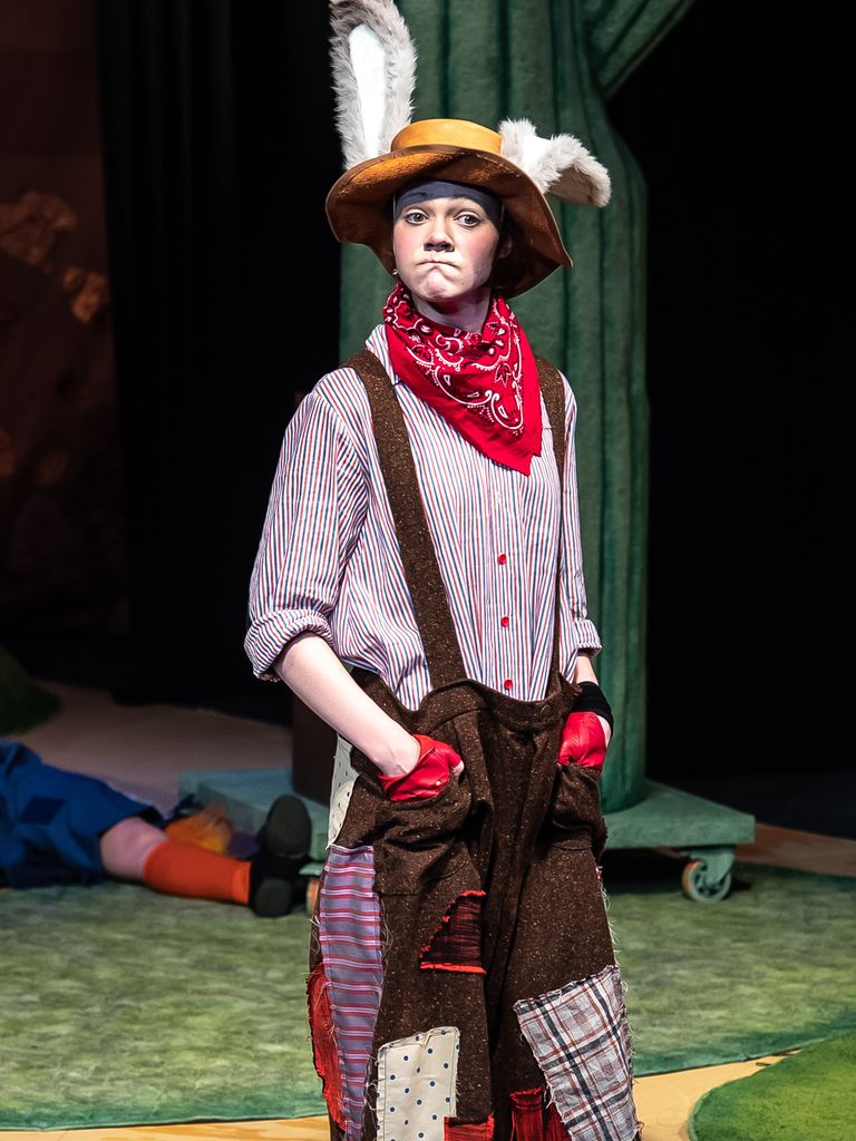 Билеты на спектакль «Сказки дядюшки Рамуса»