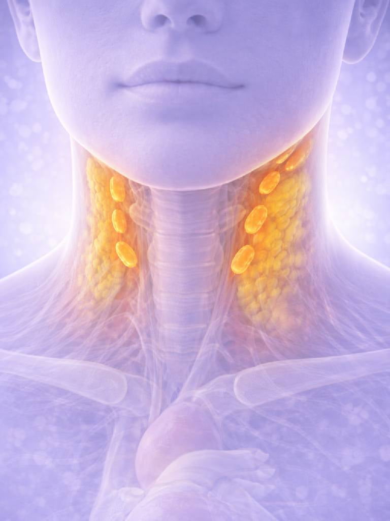 УЗИ мягких тканей (один регион)