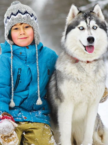 Посещение хаски-парка