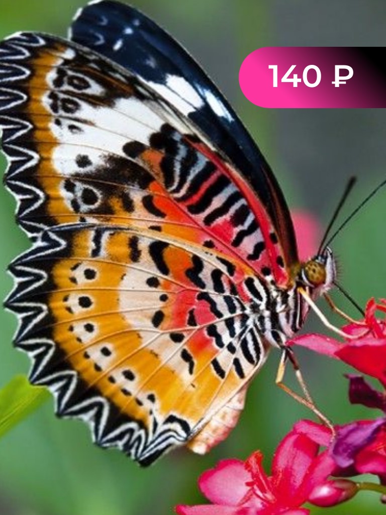 Входной билет на выставку: 1 ребенок + 1 взрослый