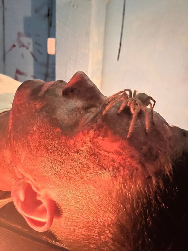 Участие в квесте «Вирус 74»