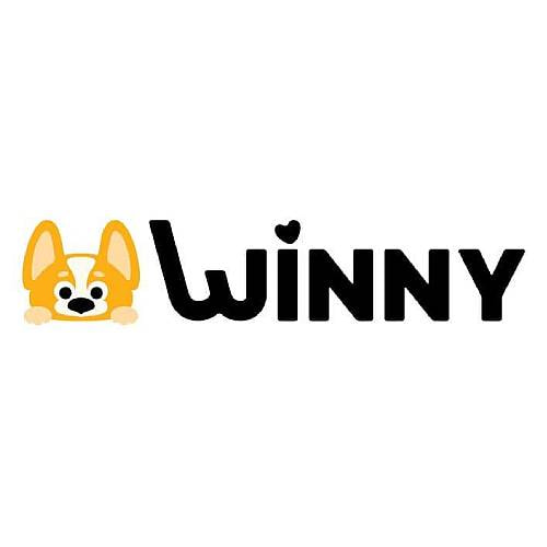 ИИ-репетитор Winny AI Tutor
