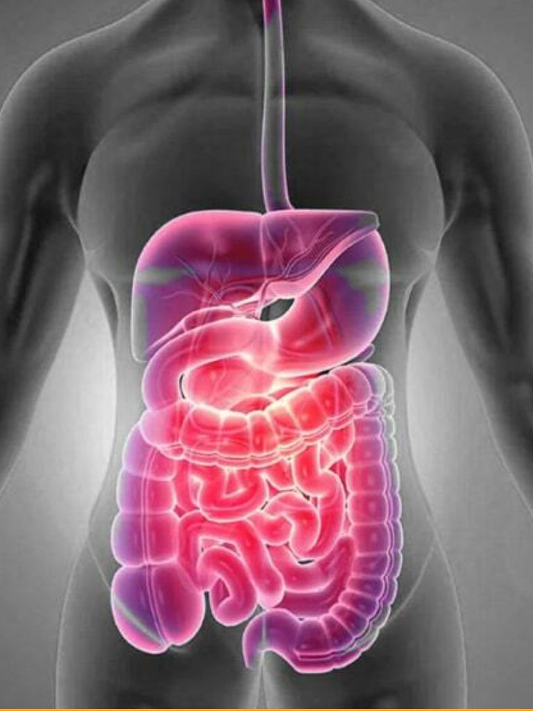 Комплекс: МРТ органов малого таза + органов брюшной полости