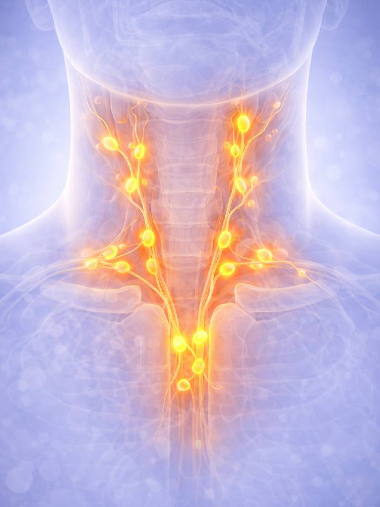 УЗИ лимфатических узлов