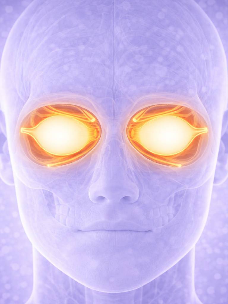 УЗИ орбит (глазное яблоко)