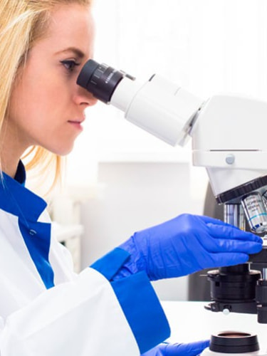 Биохимия крови (8 показателей)