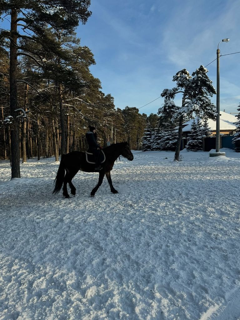 Верховая прогулка для 2-х человек в будни с 09:00 до 18:00, 1 ч.