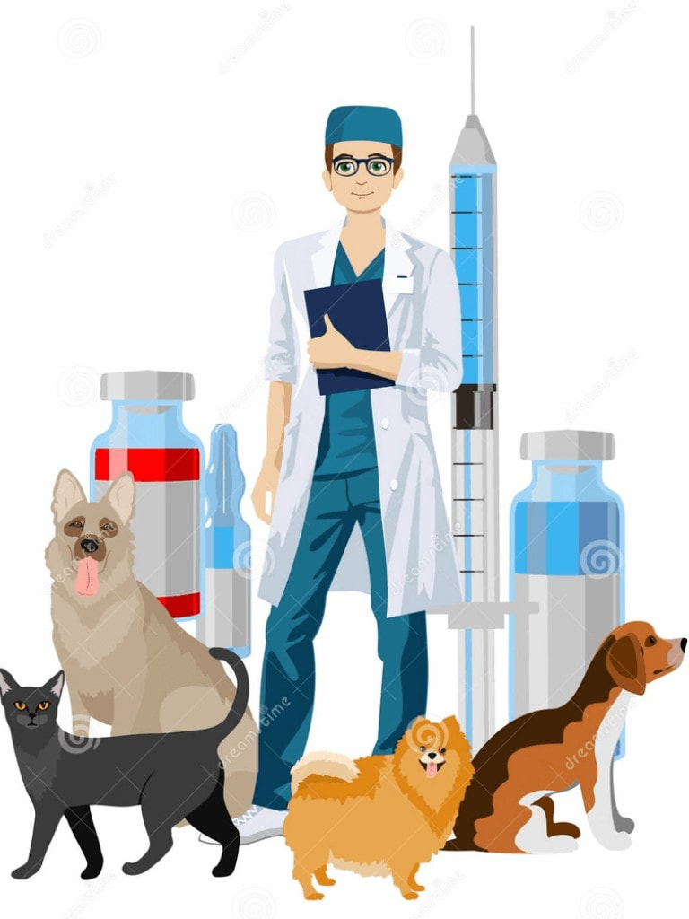 Консультация по уходу, содержанию и питанию