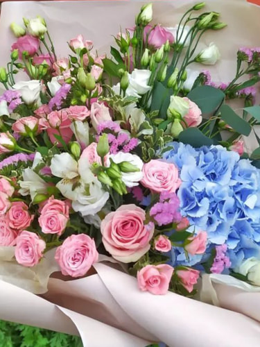 Роза Explorer, 1 м., при покупки от 25 шт.