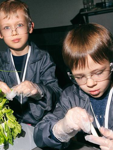 Научный Новый год для школьников 7-14 лет