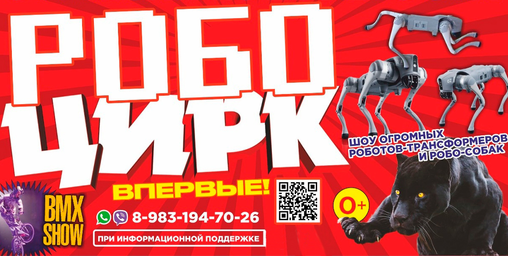на билеты на шоу «Робоцирк» в боковые сектора В и Г, при покупке билета с 24 июля