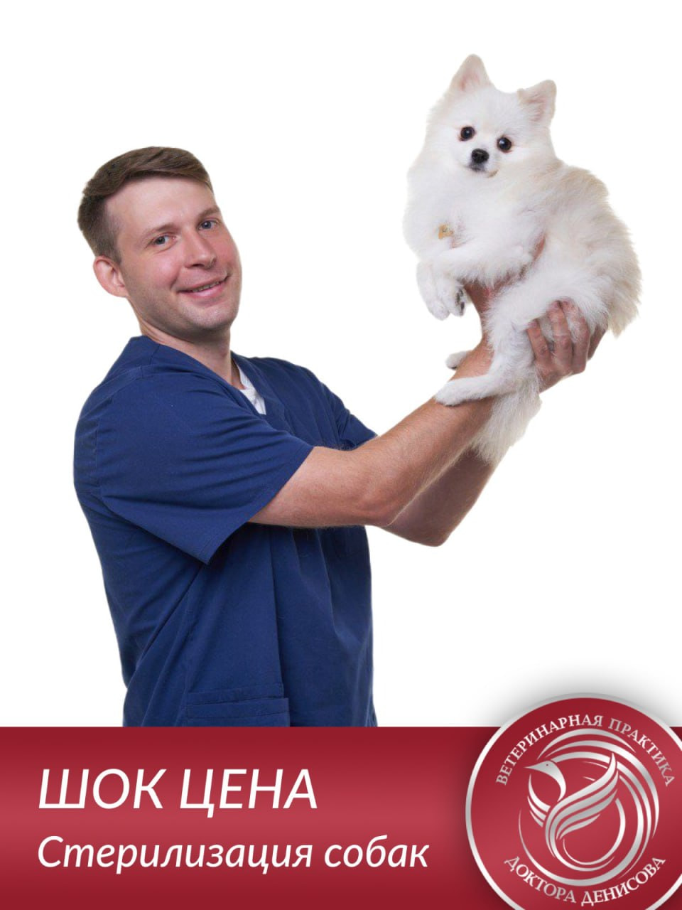 Стерилизация собаки до 15 кг