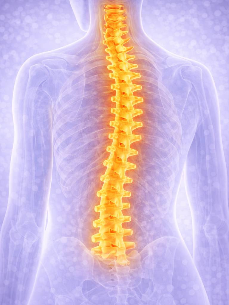 УЗИ позвоночника