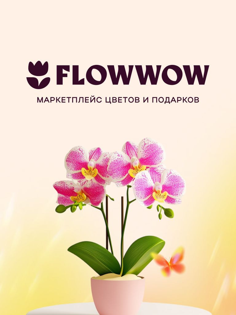 Заказ комнатных растений на Flowwow