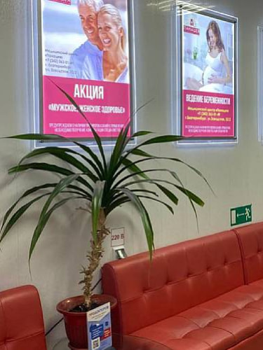 на электроэнцефалографию (ЭЭГ) с расшифровкой