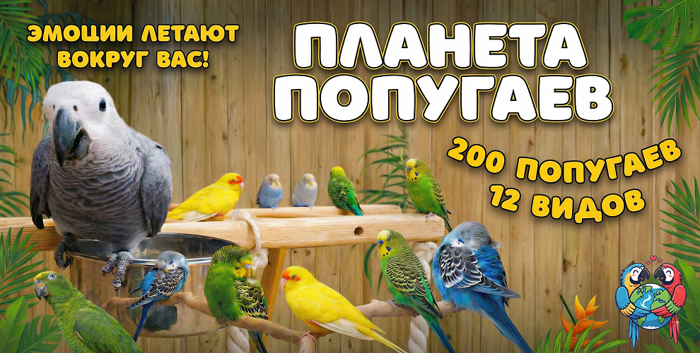 Планета Попугаев Самара