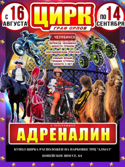Билеты на цирковое представление