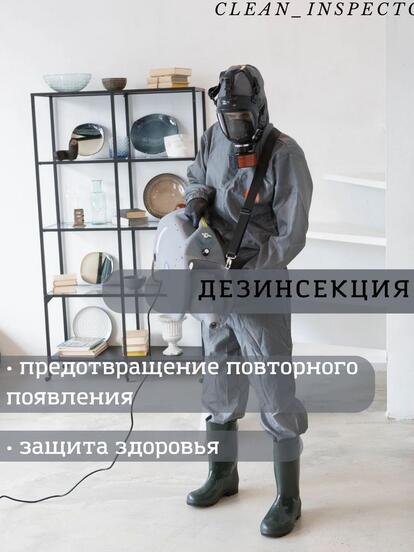 Дезинфекция и дератизация квартиры